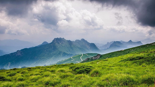 当好秦岭卫士，守护中华民族祖脉！