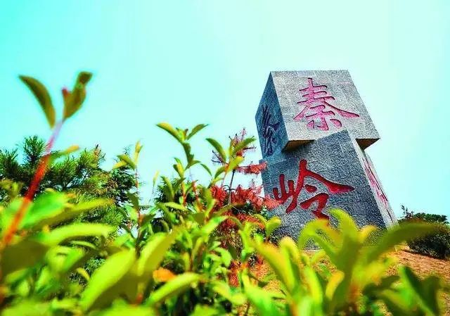 一图解读《陕西省秦岭生态环境保护条例》｜秦岭生态环境保护宣传